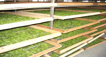 倉庫除濕機安裝應注意的問題